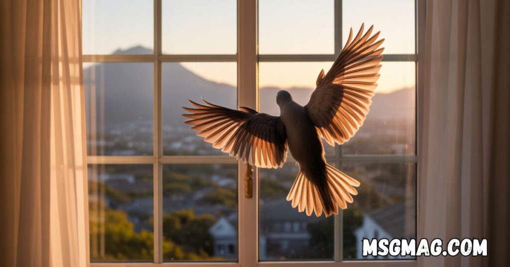 Bird Flying into Window