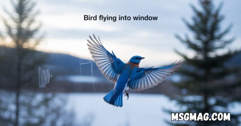 Bird Flying into Window