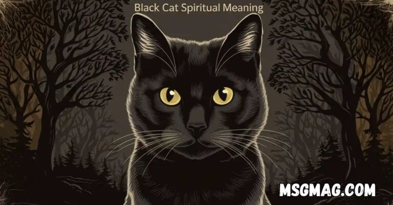 Black Cat Spiritual Meaning