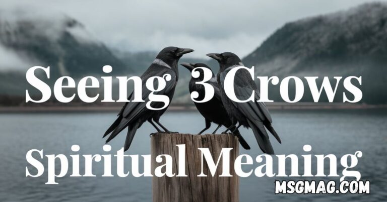 Seeing 3 Crows Spiritual Meaning