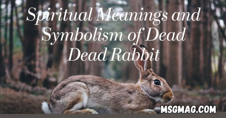 Spiritual Meanings and Symbolism of Dead Rabbit
