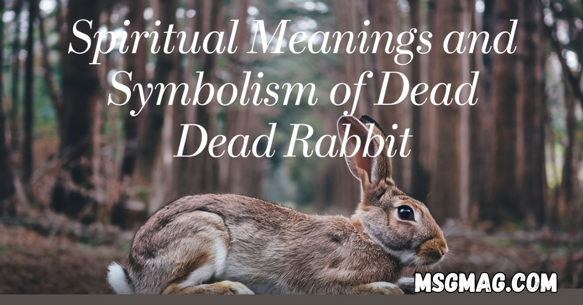 Spiritual Meanings and Symbolism of Dead Rabbit