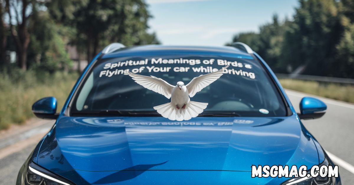 Spiritual Meanings of Birds Flying In Front Of Your Car While Driving