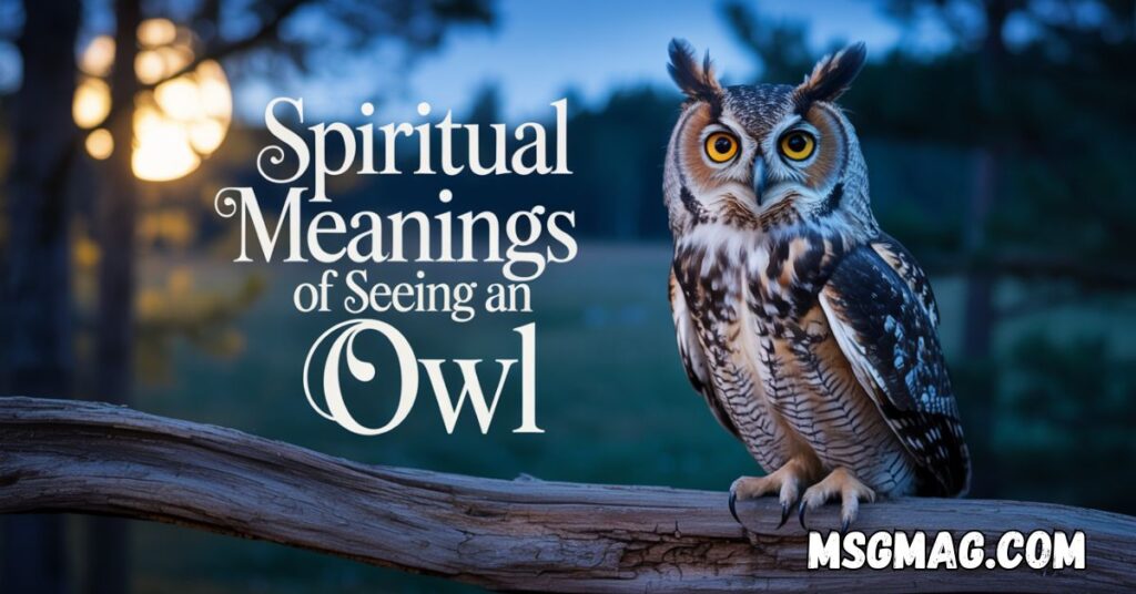 20 Spiritual Meanings of Seeing an Owl
