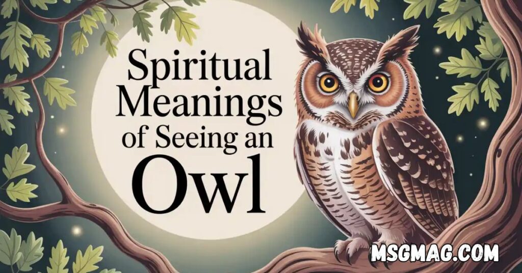 20 Spiritual Meanings of Seeing an Owl