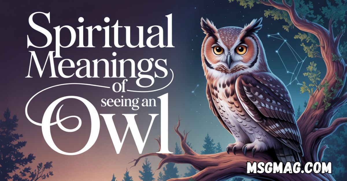 20 Spiritual Meanings of Seeing an Owl
