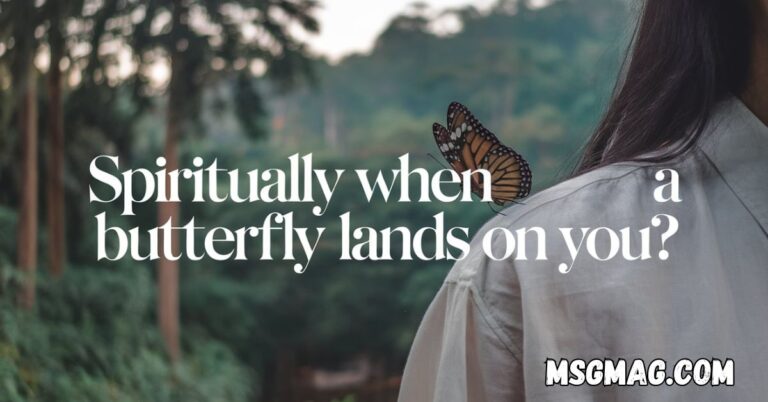Spiritually When a Butterfly Lands on You?