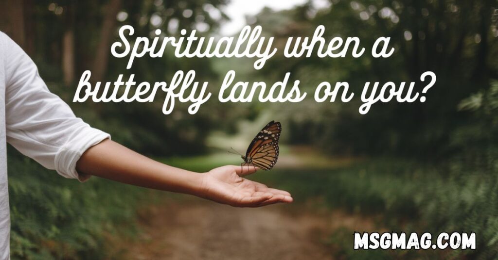 Spiritually When a Butterfly Lands on You?
