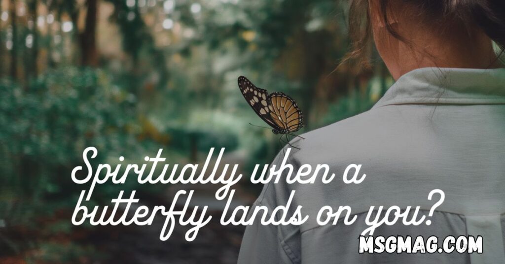 Spiritually When a Butterfly Lands on You?